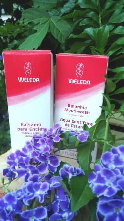 /products/kit-weleda-higiene-bucal/